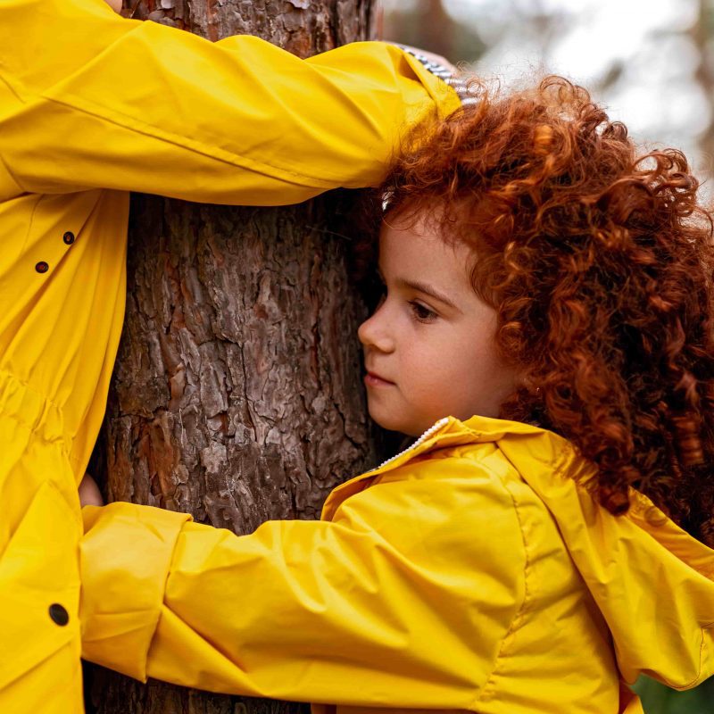 Judge Law Windsor solicitors advising parents on 2025 child contact law changes and safety concerns