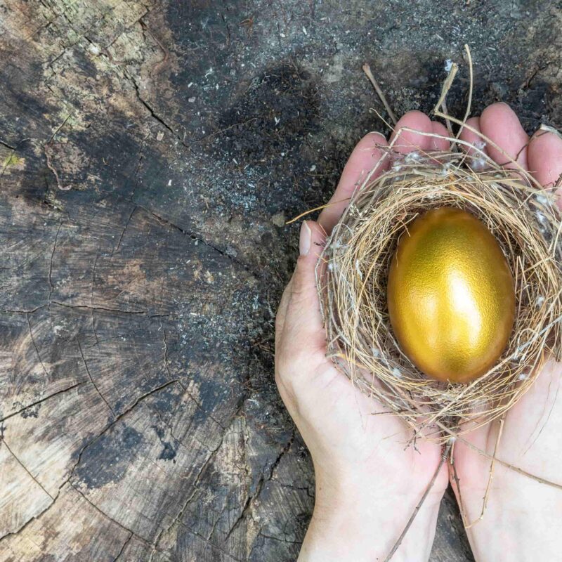 pension entitlement divorce