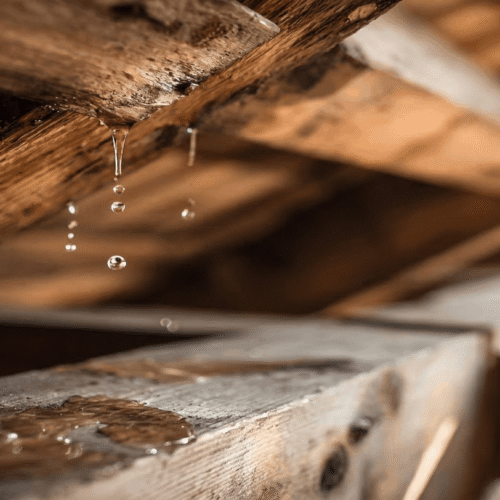 Red flags in a property purchase