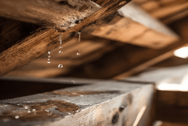 Red flags in a property purchase